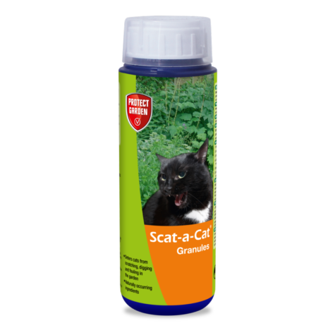 Scat-a-Cat